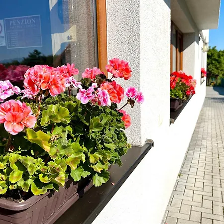 Penzion Pavcina Lehota 3* Pavčina Lehota